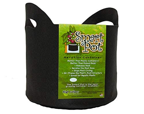 Smart Pot 10-Gallon Soft-Sided Container
