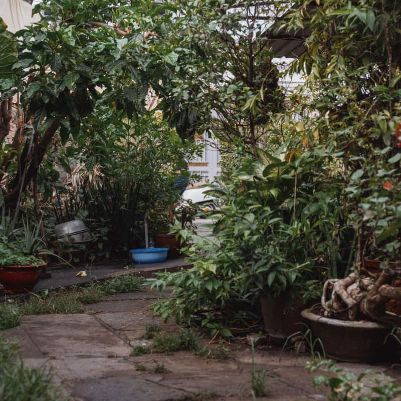 A bag of raised bed soil mix in a garden