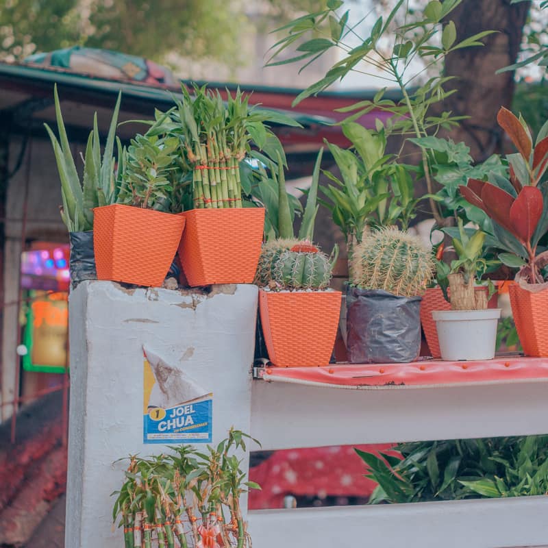 A bag of potting soil standing in a garden