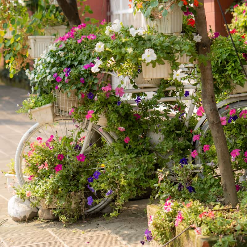 A resin elevated garden planter on a patio