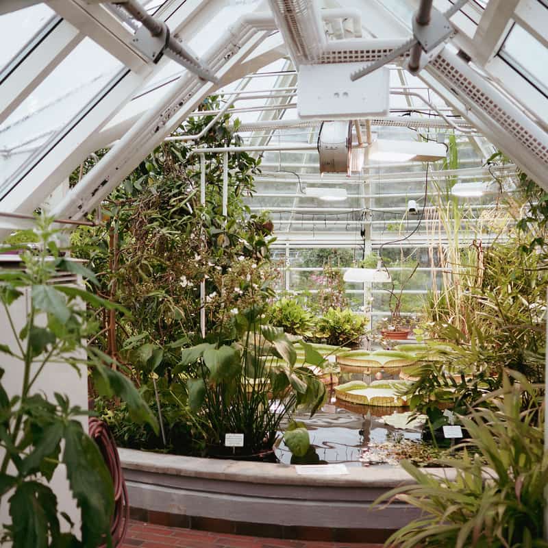 A large sturdy polycarbonate greenhouse in a backyard