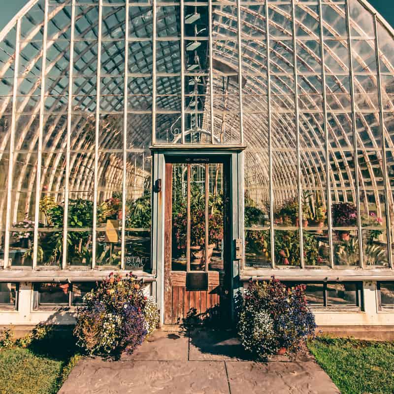 A small greenhouse with clear polycarbonate panels in a garden