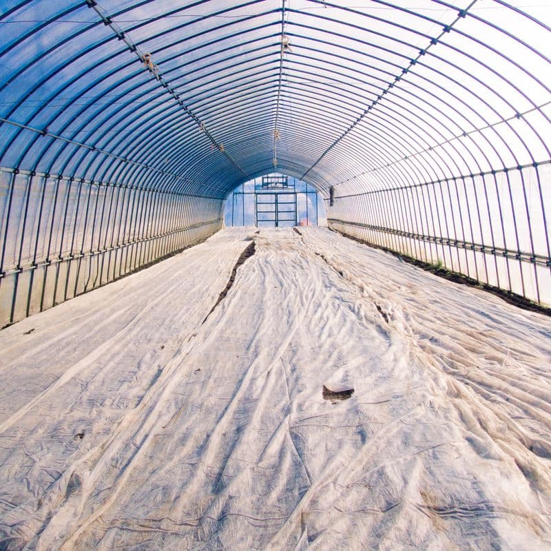 Row-cover fabric laid over the beds inside a high tunnel