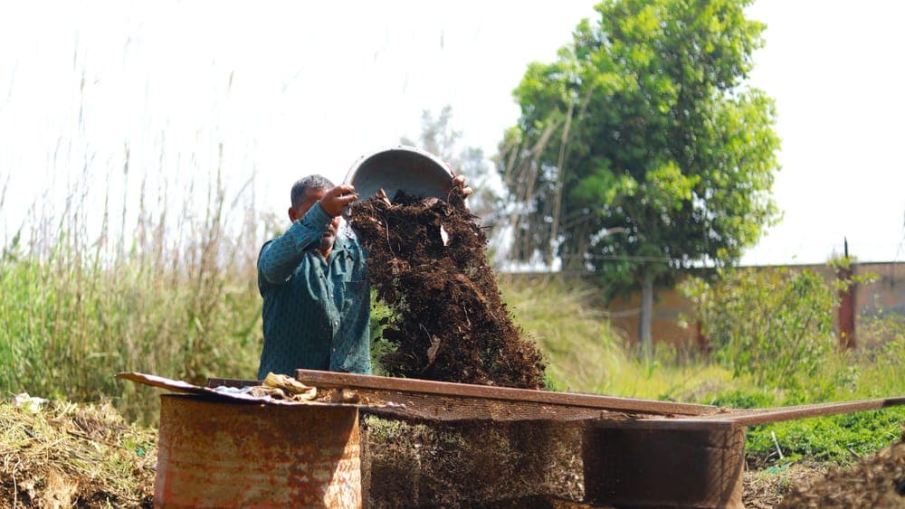 An open compost heap in a garden