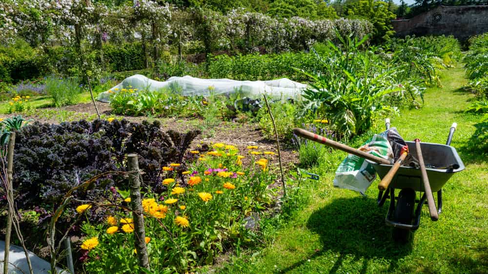 Turning compost with a garden fork