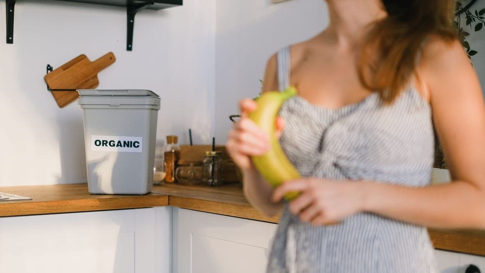 A kitchen compost caddy filled with vegetable scraps
