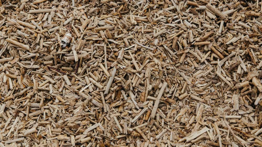 Wood chip mulch spread around garden plants