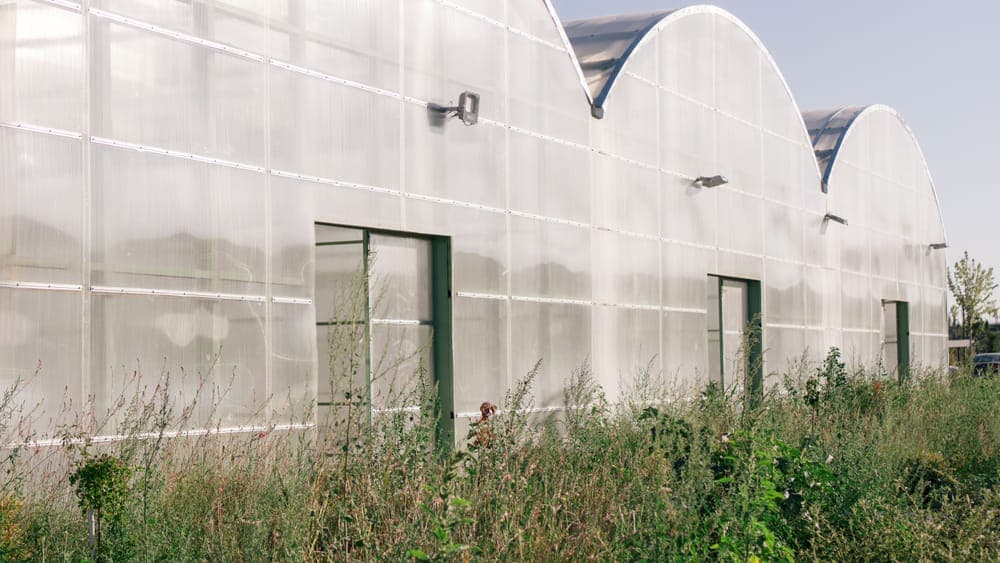 A detail of polycarbonate greenhouse panels