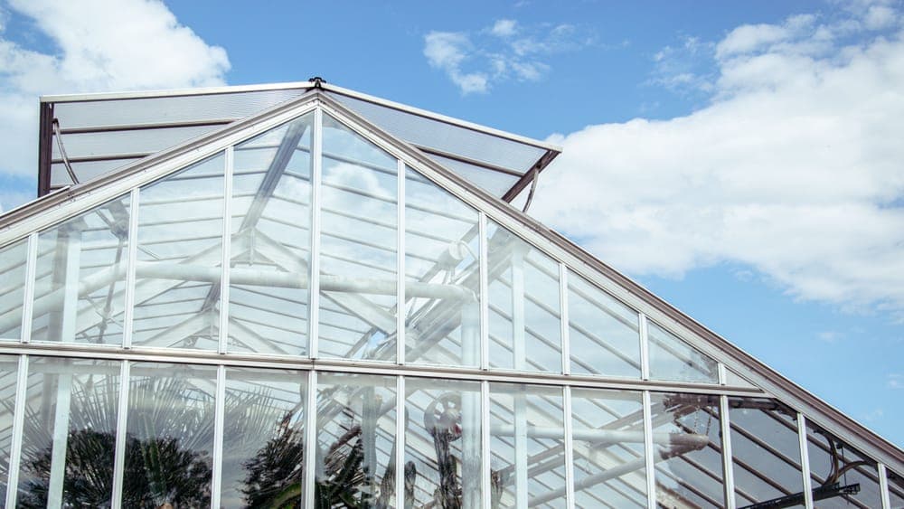 A modern glass-walled greenhouse in a garden