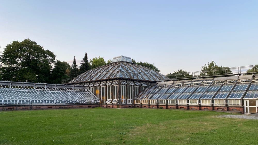 Sunlight through the glass panes of a greenhouse
