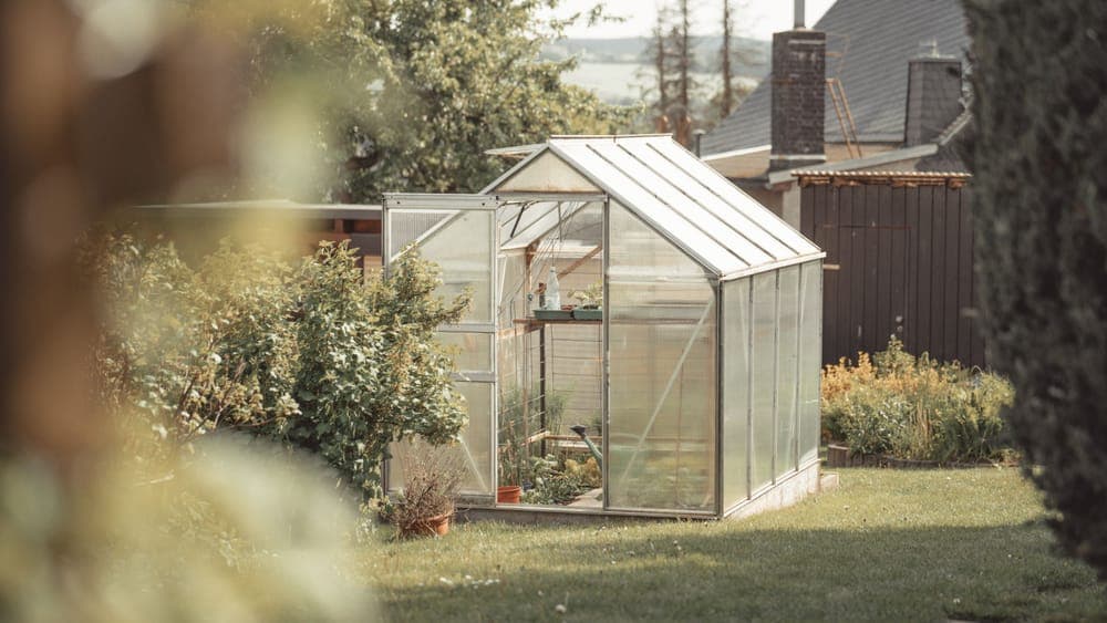 A small greenhouse standing on a garden patio