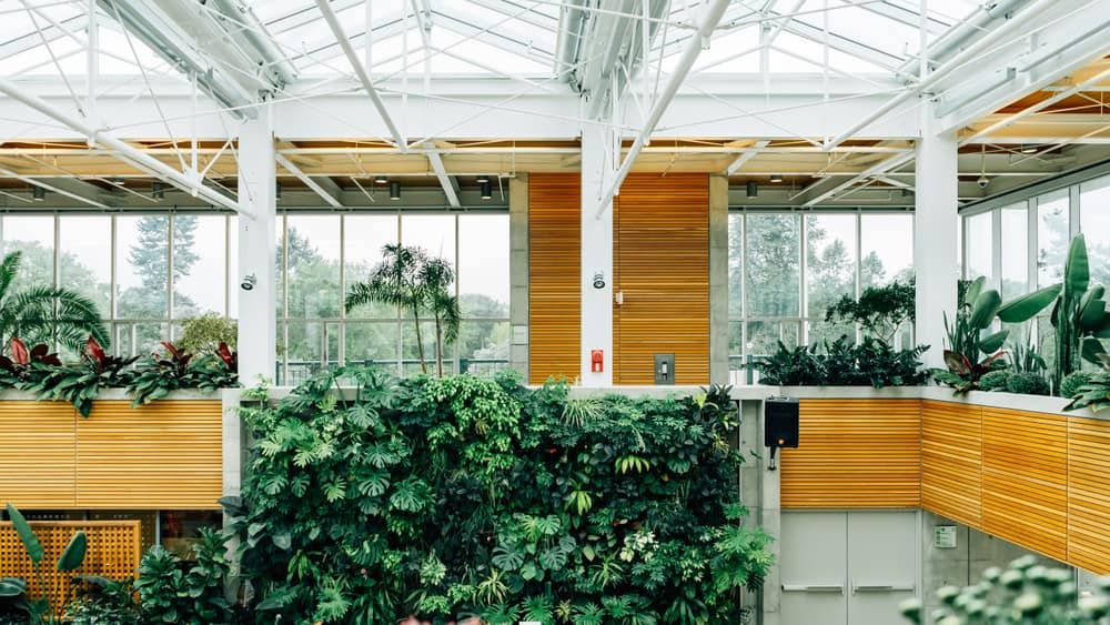 A glazed garden room with plants inside