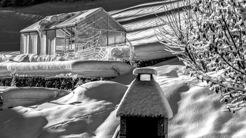 A greenhouse standing in a snow-covered garden